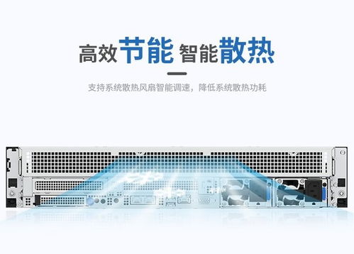 浪潮CS5260H2服務器 搭載海光5380處理器，高性能存儲配置，網絡技術服務方案解析